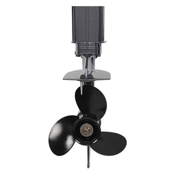 Лодочный мотор ALLFA CG T9.9 BWS MAX
