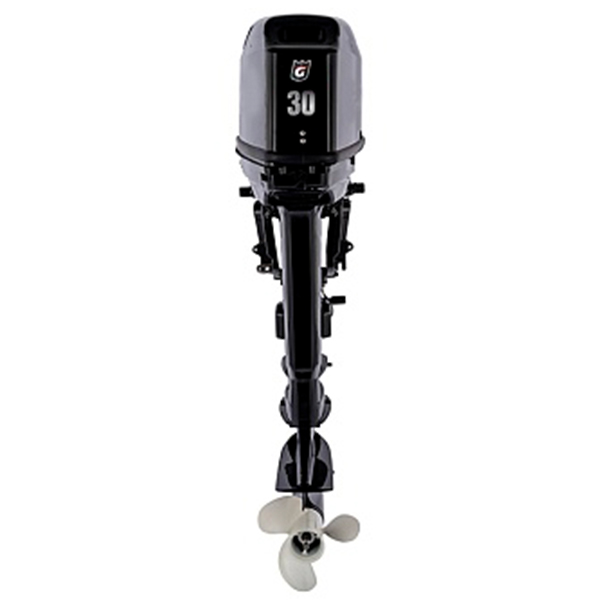 Лодочный мотор GOLFSTREAM T 30 AFWS