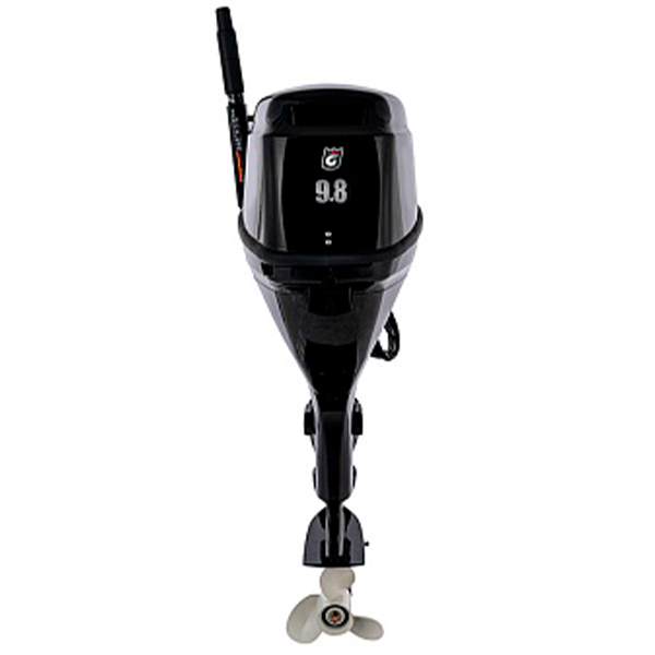 Лодочный мотор GOLFSTREAM F9.8BMS